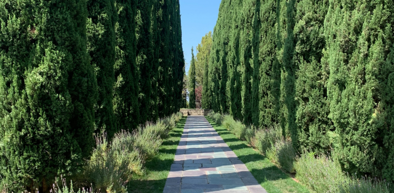 allée-de-jardin-en-pavés