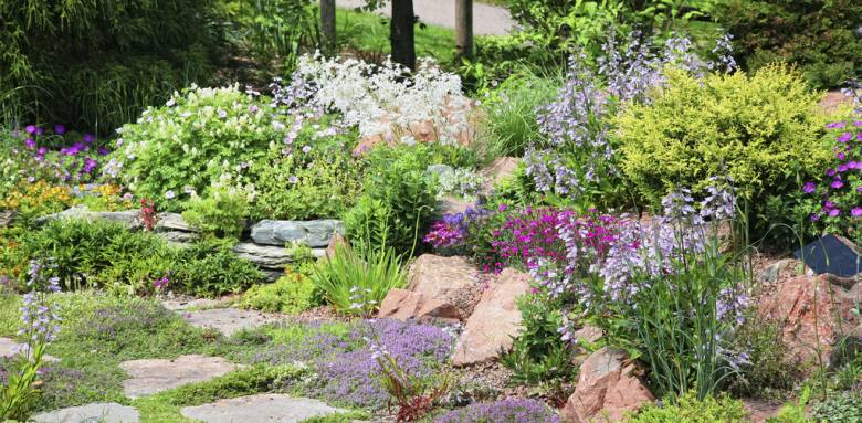Jardin minéral avec massifs et arbustes