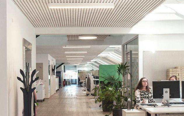 Plafond acoustique