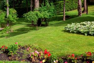 Aménager un jardin en pente à Tours.