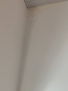 Trace d'humidité sur un mur intérieur - Nantes 44