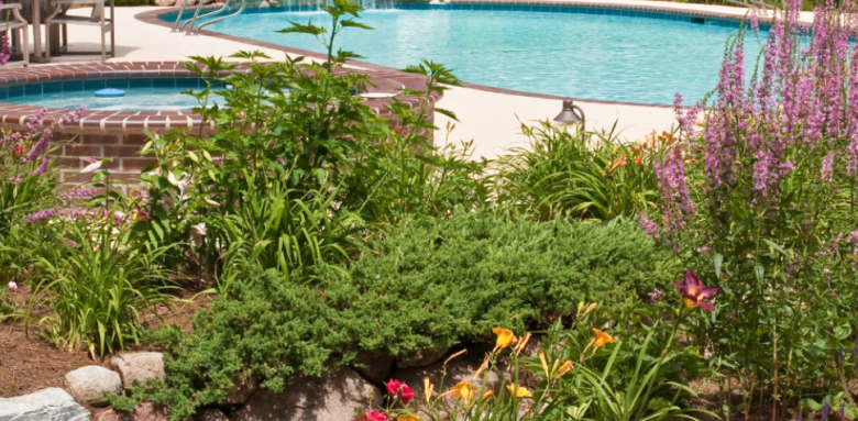 Créer un oasis dans son jardin à Montbrison (42 600)