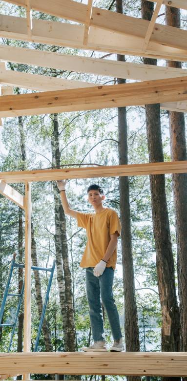 Rénovation de la charpente 