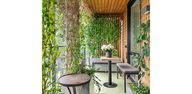 Les solutions pour préserver son intimité dans son jardin à Haye-Pesnel 50320