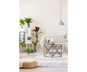 Conseils déco intérieure Haguenau
