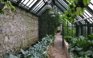 Jardin d'hiver