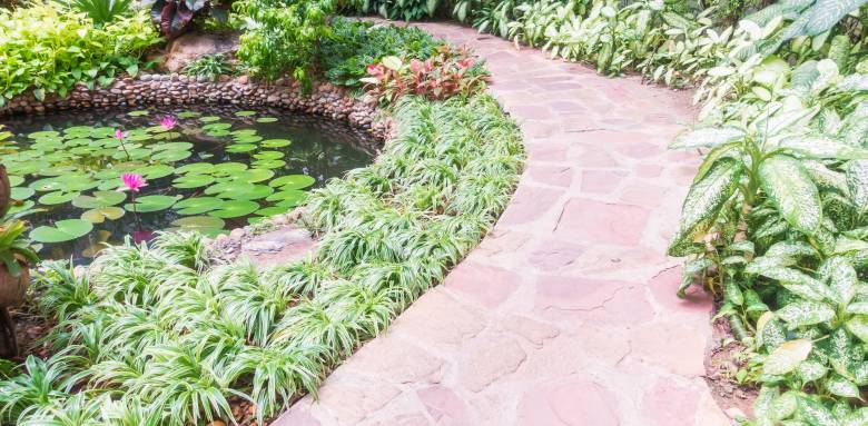 Aménagement de jardin aquatique - Nantes 44