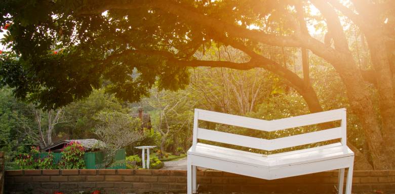Aménagement de jardin avec coin ombragé - Bourg-en-Bresse 01