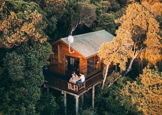 Cabane dans les arbres