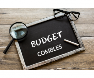 Budget combles Haguenau