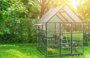 Une serre de jardin à Tours.