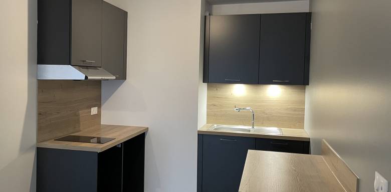 Une cuisine fonctionnelle dans un studio à Goncelin