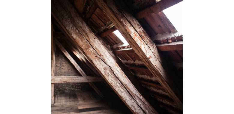 Combles perdus : l’espace oublié qui peut transformer votre maison sans extension - Vire 14500