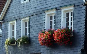 Bardage en ardoise naturelle