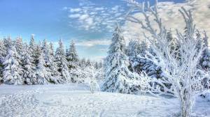 Les plinthes chauffantes : une solution efficace et discrète pour chauffer sa maison - Tour-en-Bessin 14400