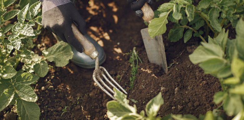 creer-potager-castres