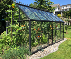 Rénover une serre de jardin à Chenôve