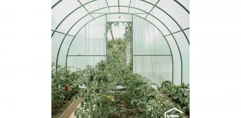 Rénover une serre de jardin - Fontenay-le-Pesnel 14250