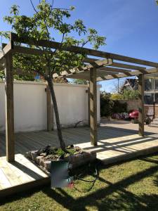 pergola