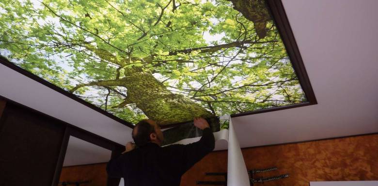 Plafond tendu avec décor paysagé rétro éclairant