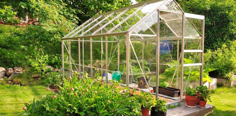 Rénover sa serre de jardin pour le printemps.