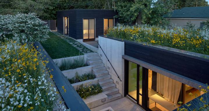 Toiture terrasse végétalisée