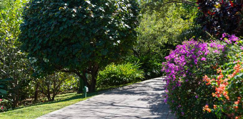 Aménagement d'un jardin en pente avec allée de jardin en pierre - Nantes 44
