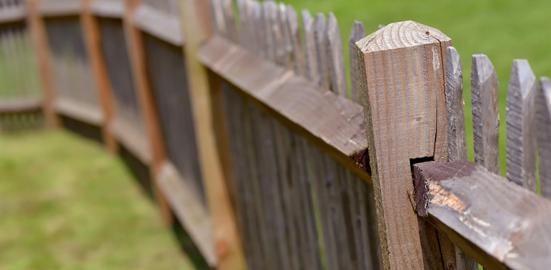 La clôture mitoyenne : notre guide