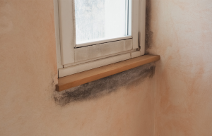 Humidité sur les murs sous les fenetres de la maison
