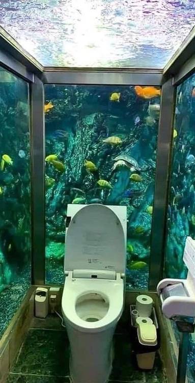 Décoration toilettes 