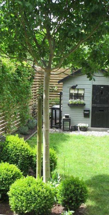 Aménagement de jardin avec pelouse et cabanon de jardin - Bouc-Bel-Air-13