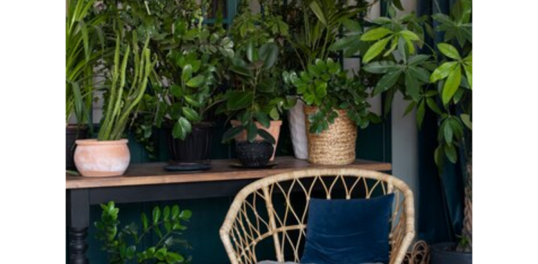 🌿✨ Comment rendre son jardin terrasse incontournable cet été 2024 ☀️🌺