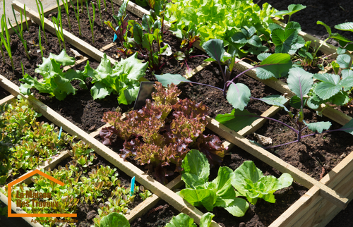potager en carré