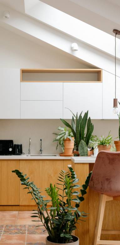 Agrandissement de maison avec puits de lumière pour la cuisine