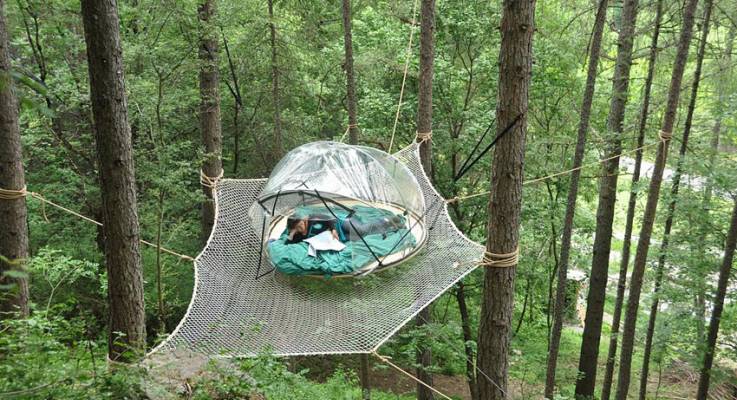 Tente dans les arbres