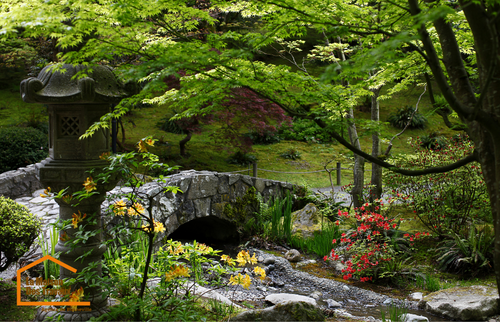 Petit jardin japonais avec point d'eau