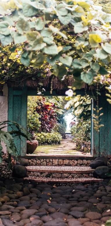 Rénovation de jardin