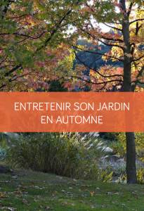 Entretenir son jardin en automne La Maison Des Travaux Vannes Sarzeau Pénestin