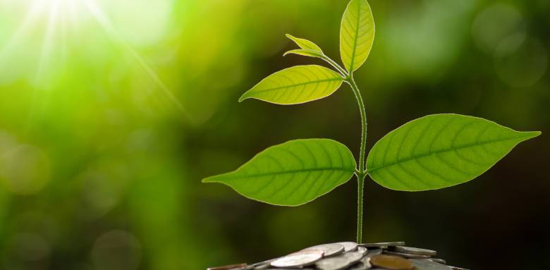 rénovation énergétique