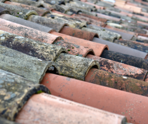 Tuiles avant entretien - couvreur 77, maçon 77, charpentier 77, auditeur énergétique 77, étanchéiste 77, architecte 77, bureau d'étude 77