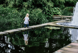 jardin-japonais-gaillac