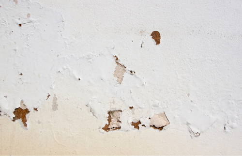 remontées capillaires la rochelle maison