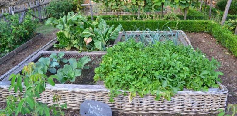 petit potager