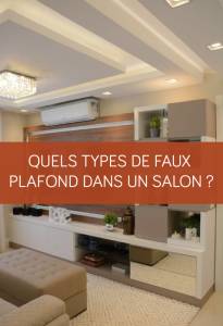 Quels types de faux plafond dans un salon ? La Maison Des Travaux Vannes Sarzeau Pénestin