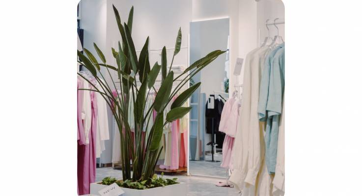 Revêtements muraux pour son magasin sur Avranches 50300