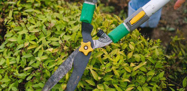 Taille de haie - poseur de terrasse 77, terrassier 77, façadier 77, architecte 77, bureau d’étude 77, maçon 77, paysagiste 77, charpentier 77, métallier 77, étanchéiste 77, dessinateur 77