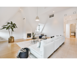 Appartement sous combles Olivet