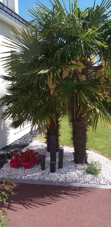 Aménagement massif à Nantes - 44