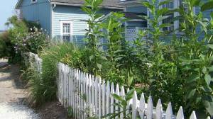 Palissades, claustras : Quelle clôture pour protéger mon jardin des voisins ? Bréhal 50290