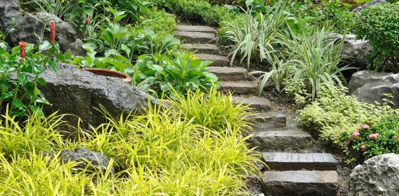jardin
